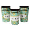 American Greetings Friends Party Supplies, Plastic Cups (8-Count)