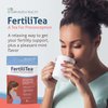 Fairhaven Health FertiliTea, 60 Servings, Organic Fertility Tea for Women to Boost Reproductive Health, Prenatal Herbal Tea to Support Menstrual Cycle & Hormone Balance, Contains Vitex, Mint Flavor