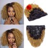 Loxxy Kinky Curly Clip In Hair 4B 4C Natural Hair Clip Ins Afro Kinky Curly Clip In Hair Extensions Virgin Clip In Hair Extensions Human Hair For Black Women Big Volume Thick Kinky Hair # 1b/27 16Inch