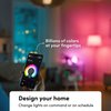 LIFX color, A19 1100 lumens, Wi-Fi Smart LED Light Bulb, Billions of colors and Whites, No bridge required, Works with Alexa, Hey Google, HomeKit and Siri multicolor (Pack of 2)