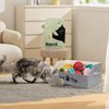 BinWhiz 19.7 in Cat Toy Bin, Cat Toy Storage Box Kitten Toy Basket Collapsible Pet Supplies Storage Chest Holder Organizer with Handles for Organizing Dogs Cats Toys Clothes Accessories, Gray