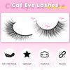 Natural Lashes Cat Eye Lashes 10 Pairs Wispy Lash Strips 12MM Short Lashes Natural Eyelashes Extensions Fox Eye Lashes Fluffy Faux Mink Lashes Strip by Zegaine