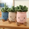 3pcs Plant Plush Toy Set: Succulent Pillow, Cute Cactus Plushies, Stuffed Potted Plants Doll - Flower & Succulent Plush (Pink, White, Blue)