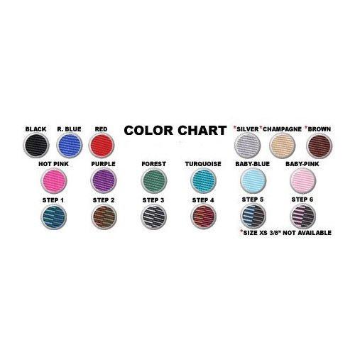 Collar w/ All Metal Hardware - Medium 11.5 - 19" - Turquoise Pet/Dog Collar