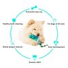 Pawfect Dog Teething Toy | Durable Rubber Chew Toy for Aggressive Chewers, Interactive Dog Fetch Toy with Rope (Blue)