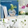 Kingbuy Wall Hanging Glass Planter Propagation Terrarium Hexagon Shape Flower Vase for Home Office Decor, Plant Lover Gifts, 3 Pack, Medium