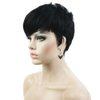 Aimole Synthetic Short 6 Inches Drakest Brown Straight Wig Heat Resistant Full Capless Hair Party Wig(2-Darkest Brown)