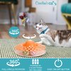 Caroline's Cats Automatic Butterfly Cat Toy – 2 in 1 Cat Toy Auto Shut Off & Catnip Ball Track; Recommended Cat Enrichment Toy