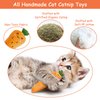 ETEKYER Catnip Toys, Cat Toys, Catnip Toys for Cats, Cat Toys with Catnip, Cat Toys for Indoor Cats, Interactive Cat Toy, Cat Chew Toy, Cat Pillow Toys, Cat Toys for Kittens Kitty