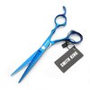 6.0 Inches Hair Cutting Scissors Set with Combs Lether Scissors Case,Hair cutting shears Hair Thinning shears For Personal and Professional (Gold)