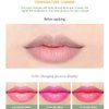 DISAAR BEAUTY 99% Aloe Vera Moisturizing Lipstick Lip Balm Lines Desalinating Nature Health Tasteless 10g