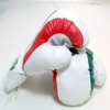Kids Boxing Gloves - Mexico