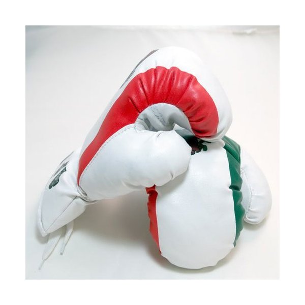 Kids Boxing Gloves - Mexico