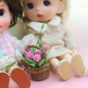 Miniature Flowers, Nice Appearance Miniature Dollhouse Plants for Dollhouse for Home