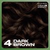 Clairol Natural Instincts Demi-Permanent Hair Dye, 4 Dark Brown Hair Color, Pack of 1