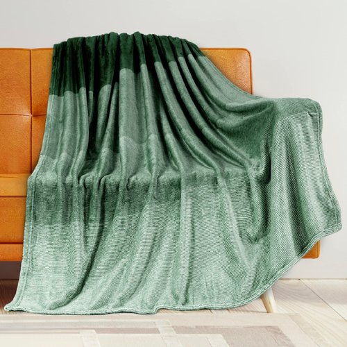 PAVILIA Green Ombre Fleece Throw Blanket for Couch, Soft Flannel Blanket for Sofa Bed Room, Plush Lightweight Emerald Forest Dark Green Gradient Blanket, Cozy Microfiber Decorative Gift Throw, 50x60