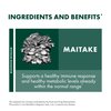 Host Defense Maitake Extract - Immune & Cellular Health Support Supplement - Dietary Herbal Supplement with Maitake Mushroom & Mushroom Mycelium - Liquid Mushroom Supplement - 1 fl oz (30 Servings)*