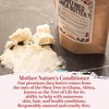 Better Shea Butter Body Butter Making Kit - DIY Kits for Adults (Raw Shea Butter, Almond Oil, Coconut Oil, 2 Jars) & Recipe Card with Link to Video Tutorial - Natural Whipped Body Lotion Making Kit