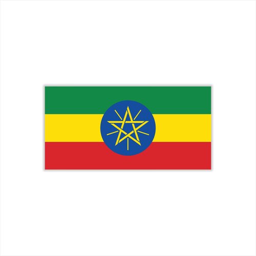 Womaha 30 Sheets Ethiopia Flag Temporary Tattoos Fans Face Tattoo Stickers for Adults Kids Group Activity Props