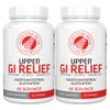 Silver Fern GI Relief - Natural Herbal Supplement - All Natural with Artichoke Leaf Extract, Ginger Root Extract, and GutGuard Licorice Flavonoids (2 Bottles - 120 Capsules - 60 Day Supply)
