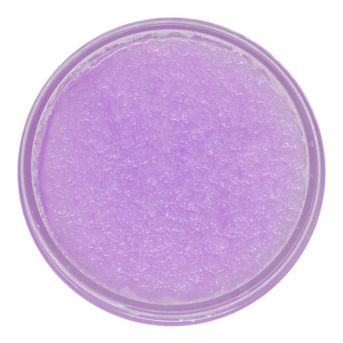 The Soap Exchange Sea Salt Body Scrub - Lavender Scent - Hand Crafted 8 fl oz / 240 ml Natural Artisan Skin Care, Shea Butter, Exfoliate, Moisturize, & Protect. Made in the USA.