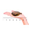 Camila Paris CP2879 3.255 inch French Banana Clip Hair Comb Tokyo Round Girls Ponytail Holder Interlocking Banana Combs For Volume Thick Hair. Fashion Styling Hair Accessories for Women Made in France