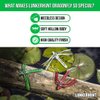 Lunkerhunt Dragonfly Lure | Most Realistic Topwater Fishing Lures for Bass, Double Skirted Wings, Perfect Trouth and Pike Lure, Weedless Bait (Pondhawk)