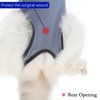 kzrfojy Cat Surgery Recovery Suit Cat Onesie for Cats After Surgery Spay Surgical Abdominal Wound Skin Diseases E-Collar Alternative Wear (Grey-Blue-M)