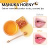 YNM Natural Melting Honey Lip Balm 3g (+4 colors) Non-Sticky, Moisturizing, K-beauty