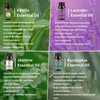 yethious 4 Pack Lavender Jasmine Vanilla Eucalyptus Essential Oil Set Vanilla Essential Oil for Diffuser, Soap/Candles Making Jasmine Essential Oil - Lavender, Jasmine, Vanilla, Eucalyptus