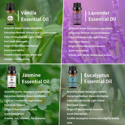 yethious 4 Pack Lavender Jasmine Vanilla Eucalyptus Essential Oil Set Vanilla Essential Oil for Diffuser, Soap/Candles Making Jasmine Essential Oil - Lavender, Jasmine, Vanilla, Eucalyptus