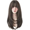 7JHH WIGS Hair Dye Wig for Women Synthetic Hair Natural Long Straight Wig With Bangs (22inch, Cold brown)