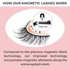 Premium Magnetic Eyelashes - Natural Looking, Reusable Magnetic Lashes Wispy from FancyFace Beauty