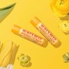 Burt's Bees Lip Balm - Original Beeswax 12 Count Pack in Bulk, Lip Moisturizer With Responsibly Sourced Beeswax, Tint-Free, Natural Origin Conditioning Lip Treatment, 12 Tubes, 0.15 oz