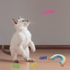 Andiker Catnip Toy&4pcs Cat Spring Toys, Colorful Plush Rainbow Pet Pillow, Cat Chew Toy for Kitten Scratch, Bite and Hug, Interactive Cat Toy for Indoor Cats to Smooth Mood and Relax (Darker)