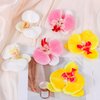6pcs Orchid Flower Hair Clips for Women,Hawaiian Bohemian Butterfly Orchid Hair Barrettes for Summer,Beach Party,Photo-shoot Boho Hair Clip Flower Hair Accessories for Women Girls (B)