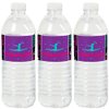 Tumble, Flip & Twirl - Gymnastics - Birthday Party or Gymnast Party Water Bottle Sticker Labels - Set of 20