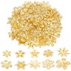 PandaHall 200pcs Flower Bead Cap, 10 Styles Bead End Caps Filigree Spacer Beads Caps Metal End Charm Tibetan Caps for DIY Earrings Bracekets Necklace Jewelry Craft Making, Golden