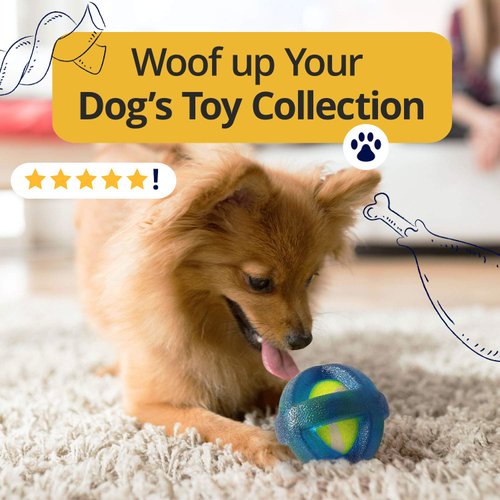 American Pet Supplies Tennis Balls, TPR Coated Tennis Ball Set, Chewing Toys for Puppies and Dogs