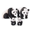 Terra by Battat – 4 Pcs Giant Panda Family – Realistic Plastic Animal Figures – Zoo Animal Toys for Kids and Toddlers Age 3+