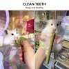 50-60 Pcs Rabbit Chew Toys, Bunny Toys, Guinea Pig Hamster Chew Toys, Rabbit Chew Toys for Teeth, Timothy Stick, Sweet Bamboo, Apple Stick, Prevent Teeth Overgrowth, Clean Teeth, for Small Animals