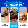 Dog Allergy Relief Chews - Itching Skin Relief for Dogs - Fish Oil - Omega 3 - Seasonal Allergies Pills - Skin & Coat, Anti Itch,Hot Spots Treatment - Canine Immune Health Supplement - 180 Soft Treats