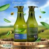 Frulatte Olive Shampoo with Organic Olive Oil | Rich in Vitamins A, D & E Hydrating Shampoo for Dry Damaged Hair | Paraben Free Shampoo | Natural & Deep Cleansing Hair Shampoo, 27 fl oz
