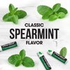 ChapStick Classic Spearmint Lip Balm – Cool & Refreshing, Moisturizing Lip Care for Dry, Cracked Lips, 0.15 Oz Ea