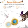 Giociv Interactive Cat Toys Ball Fast Rolling in Pouch, Motion Activate Chirping Cat Toy Hide and Seek Mouse Catching Game (Halloween Party)