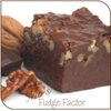 Mo's Fudge Factor, Chocolate Walnut Fudge 16 Ounces