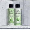 J.R. Watkins Daily Hydration Shampoo, Aloe & Green Tea - 12 fl oz (Pack of 2)