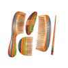 Pure Hands Radiant Rainbow - Handmade Organic Neem Wood Hair Combs Bun Stick & Hair Clip Gift-set With Vibrant Multicoloured Wood Art