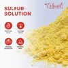 Sulfur Face Mask – All Natural Sulfur Facial Clay Mask Powder – Glowing Skin Mask Skincare For Acne, Spots, Scars, Oily Skin – Sulfur Acne Treatment Absorbs Excess Oil and Unclogs Pores, Made in USA