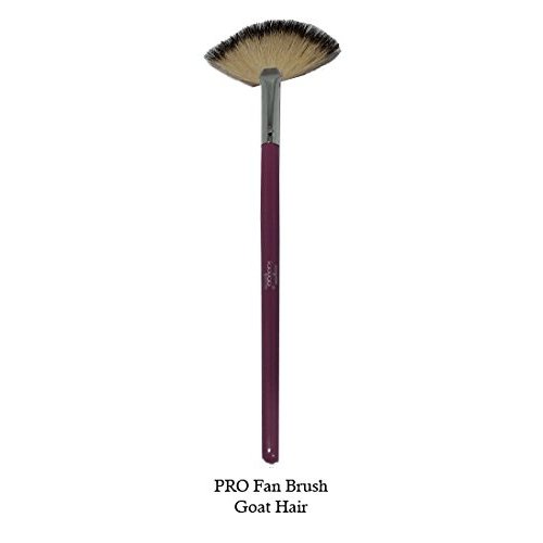Tootloo Professional High PRO Fan Brush 2-Tone (Off-White and Black) Goat Hair Bristles 7" Black Wooden Handle. For eye shadow, blush, powder, foundation, and lips. (Lavender)